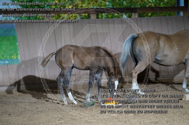 s_K3F04768.JPG